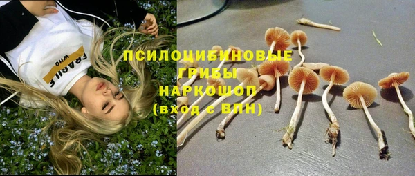 гидра Россошь