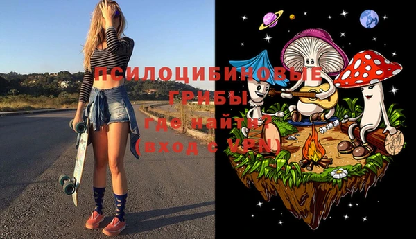 прущий лед Новозыбков