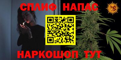 сатива Абакан