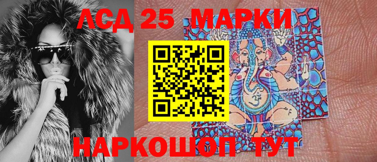 МЕФ Североморск