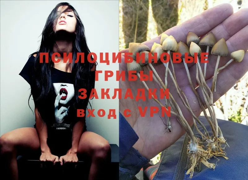 Галлюциногенные грибы MAGIC MUSHROOMS  Североморск 