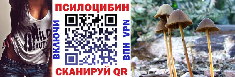 Псилоцибиновые грибы MAGIC MUSHROOMS Североморск
